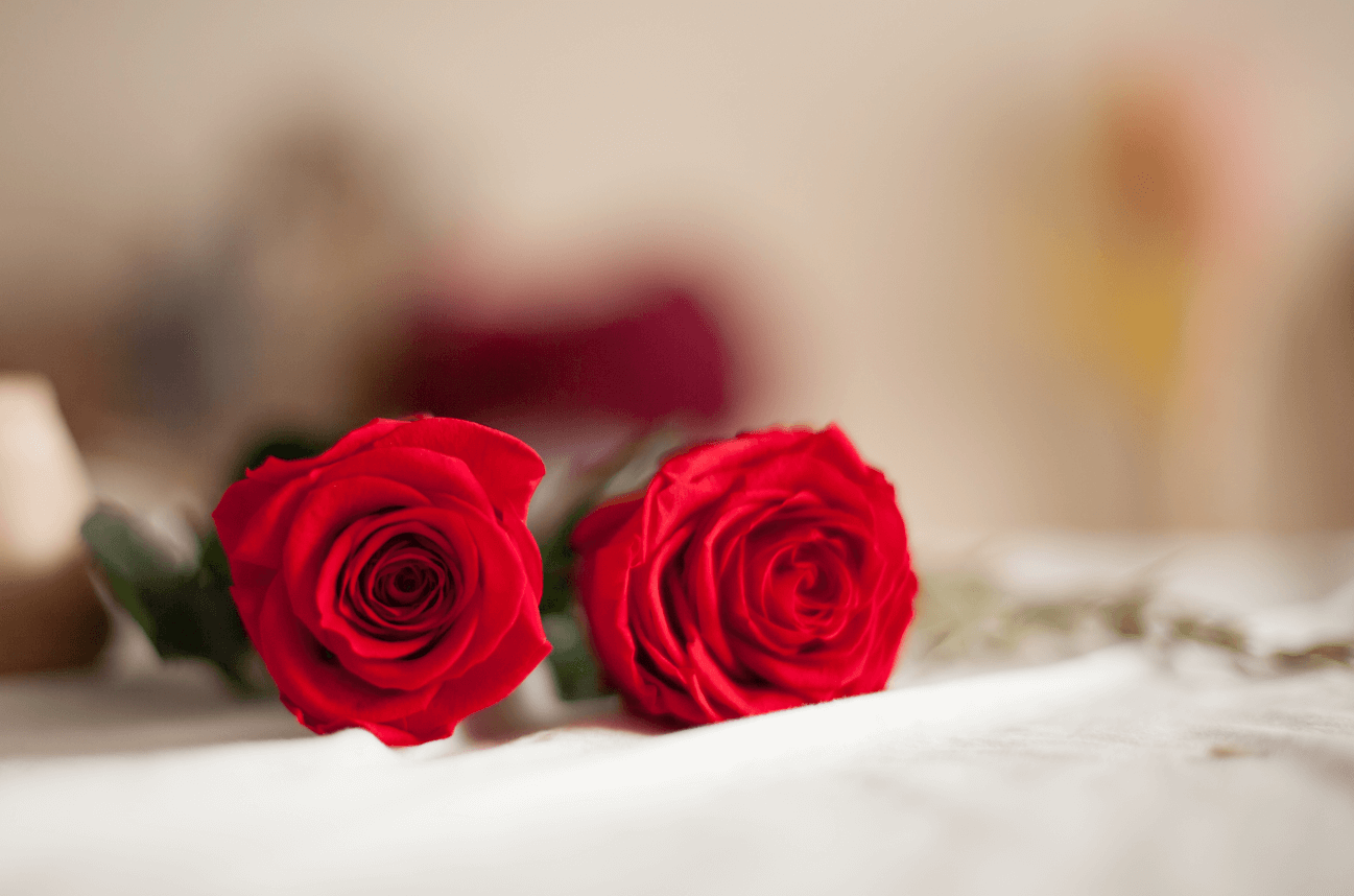 Rosa de Sant Jordi: por qué encargarla